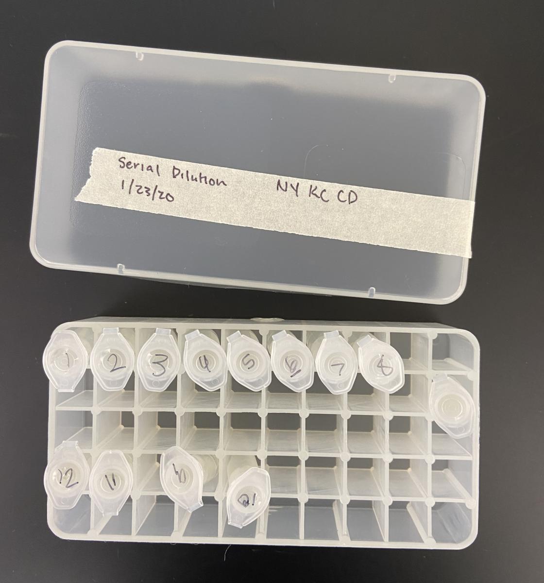 Picture of Serial Dilutions